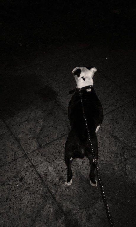 Maskedleo leaked naked onlyfans