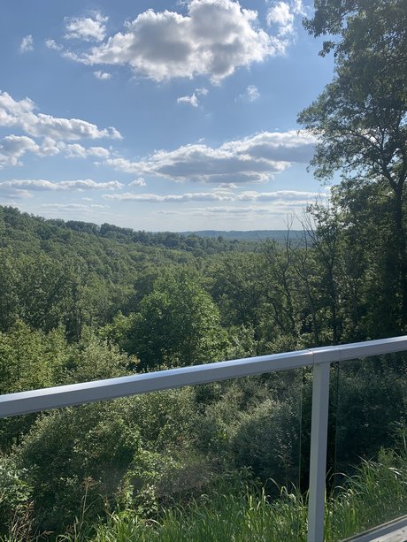 BlkZard onlyfans sexy