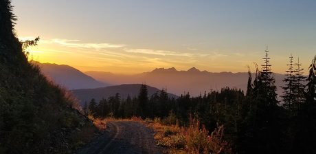 Shotgun Jenny leaked onlyfans content