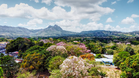 Thady topless onlyfans