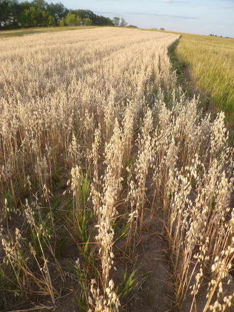 Richard Nixon was not swag new onlyfans leak