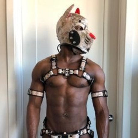 Jabarri Pup leaked onlyfans porn
