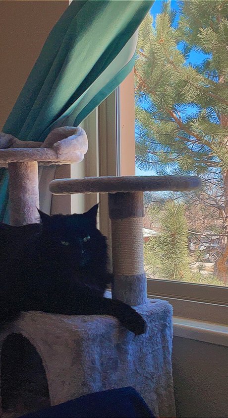 phthalo onlyfans leak free