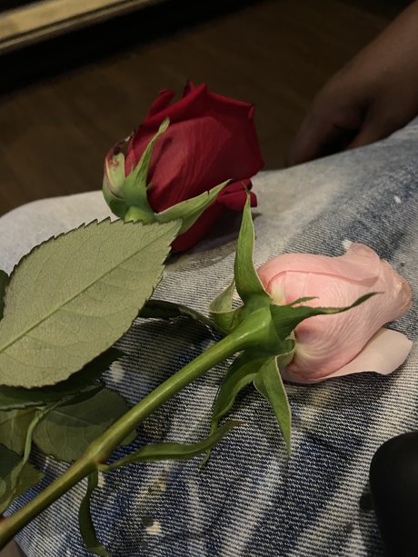 Blueyedcrush leaked naked onlyfans