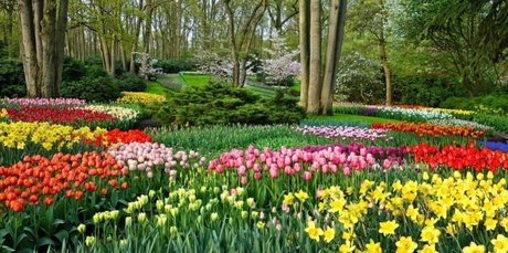 Sandra Sofia onlyfans pics nude