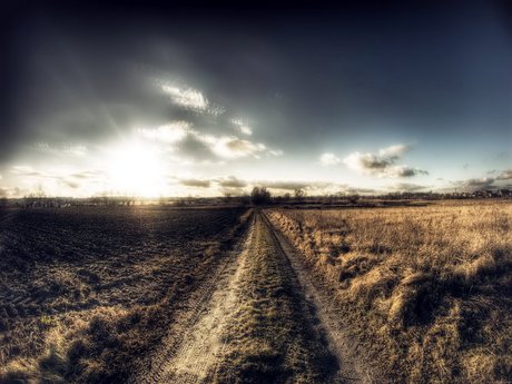 Oswaldo Gutierrez onlyfans nude content