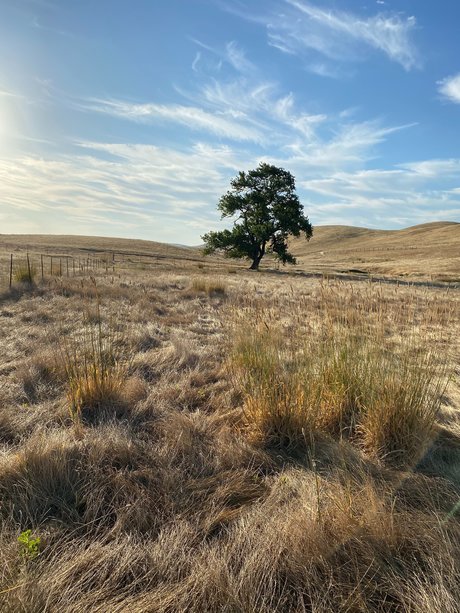 Jerrad greenick free onlyfans