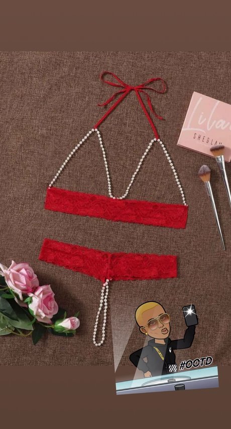 Sea mammal porn onlyfans