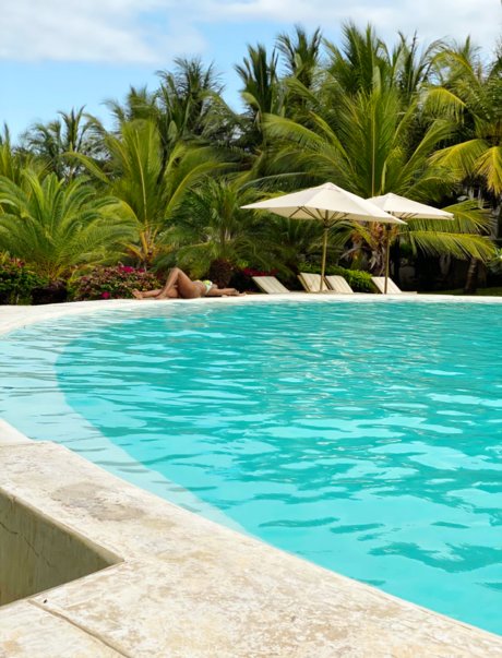 Sea mammal onlyfans leaks