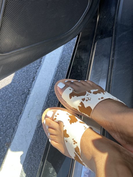 southernbelles onlyfans free