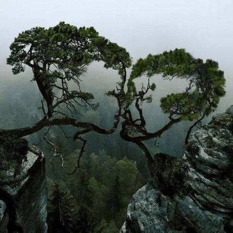 Ariah VPC onlyfans nudes