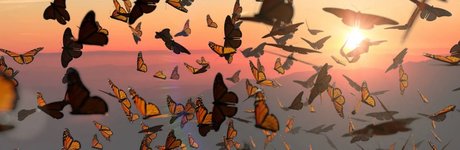 Odezza Dior_ nude leaks onlyfans