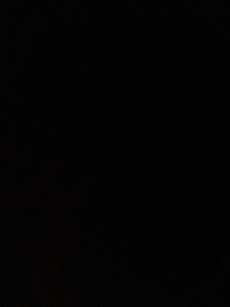 gayblondbear9 leaked only fans nudes