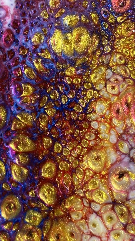 xntriclatin new onlyfans leaks