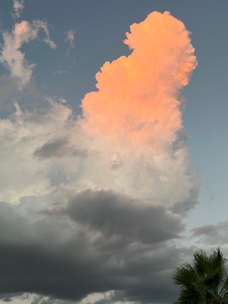 Datsun onlyfans nudes leaks