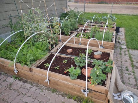 FleshyCuke nude onlyfans leaked