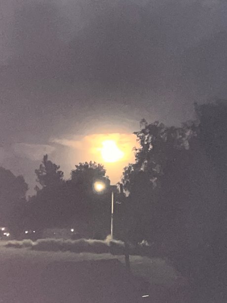 Talented 42h0e onlyfans post