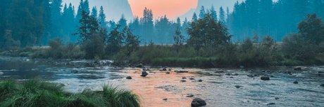 Eels onlyfans leaked