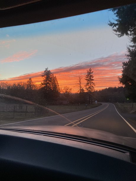 Fishie Fiend onlyfans nudes porn