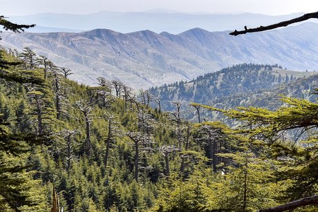 Enkidu leaked onlyfans content