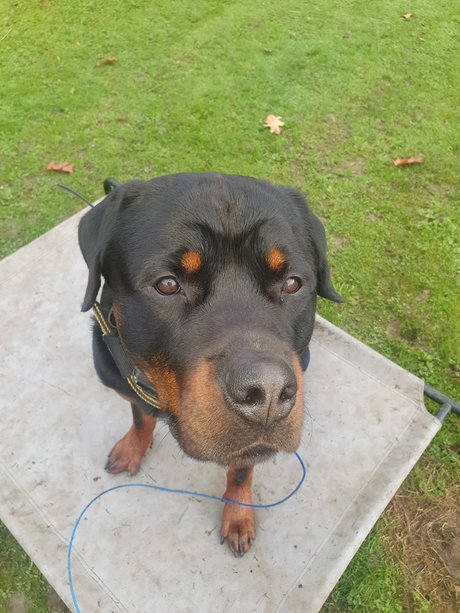 Silkin Day leaks only fans