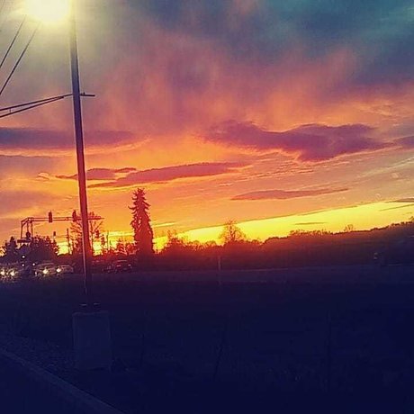 Rose Sanchez leaked onlyfans sex