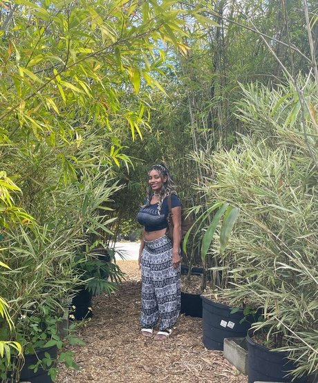 Plantbae only fans leaks porn