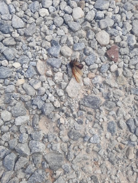 Desativado onlyfans pics