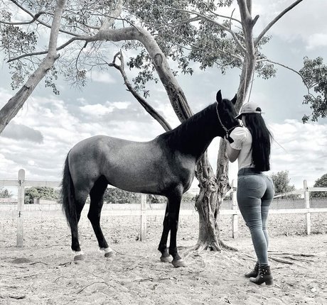 Lismara Moreira nude leak onlyfans