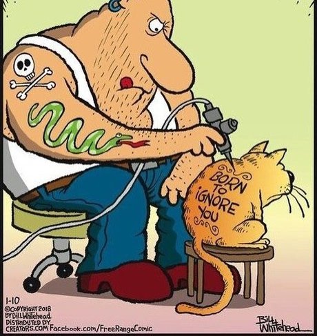 realbody001 only fans pictures