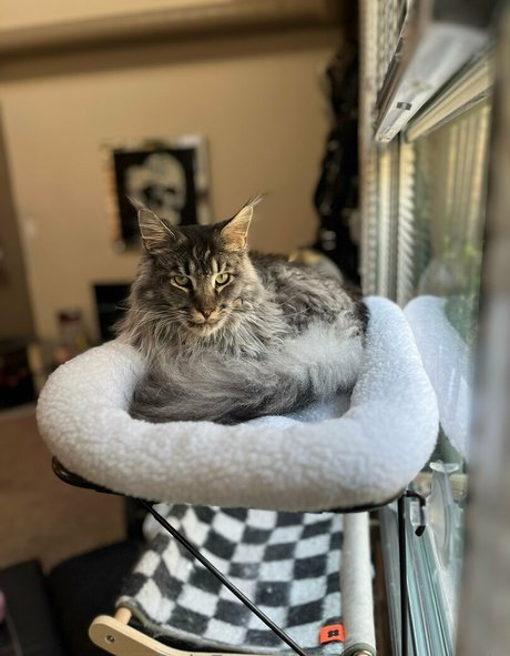 sperry69 en onlyfans