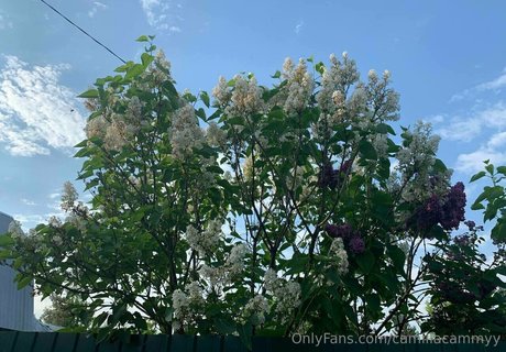 camillacammyy Profile pic