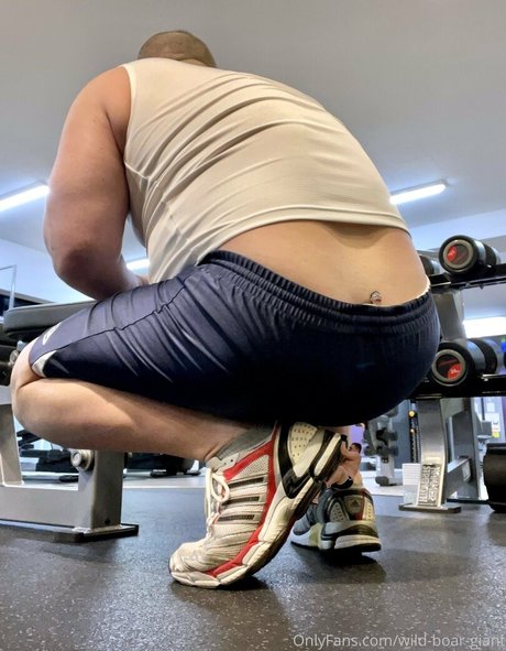 wild boar giant onlyfans for free