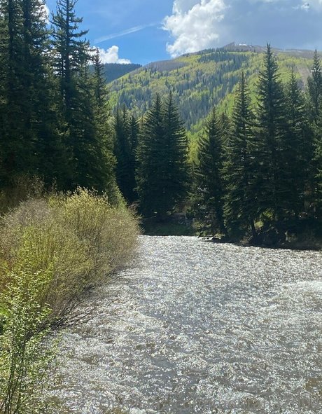 montana2004 new leaked onlyfans