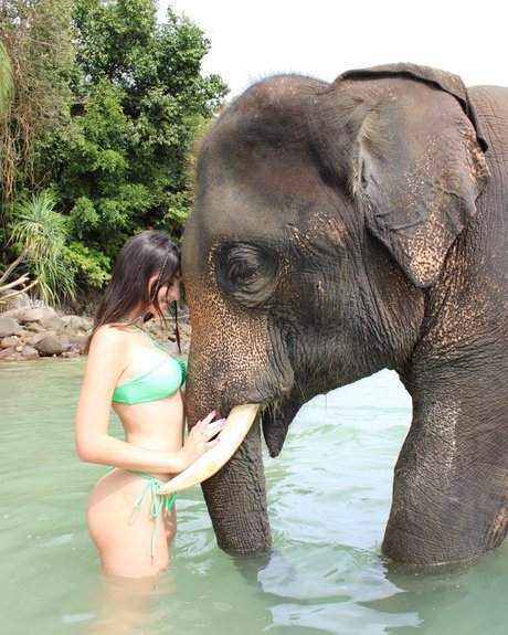 Tatiana Schwartz Profile pic