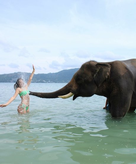 Tatiana Schwartz onlyfans pics