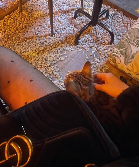 ryydachan sexy onlyfans