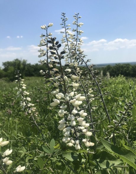 harperlane onlyfans leaks