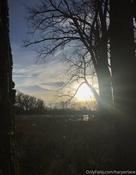 harperlane onlyfans pic