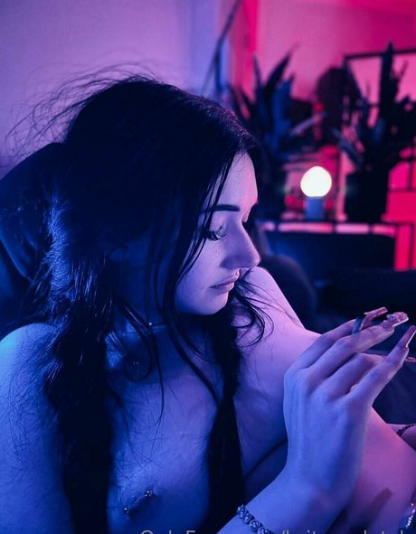 britneydutch onlyfans uncensored