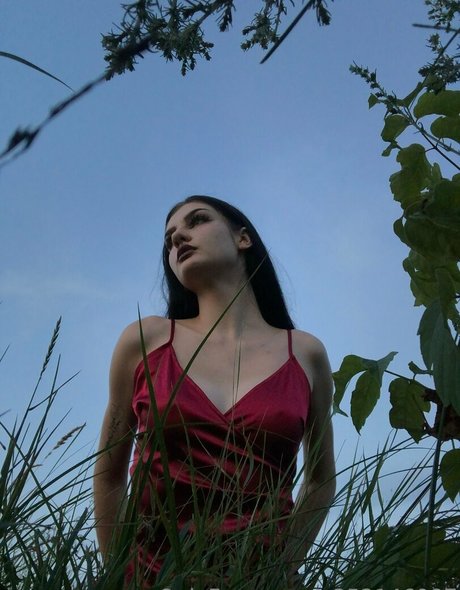 eve in wonderland Profile pic