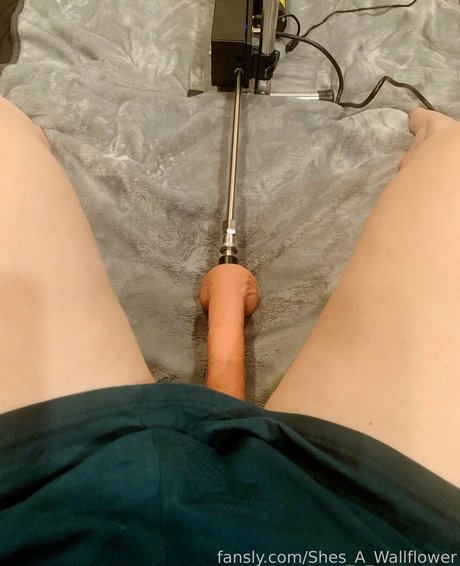 shes a wallflower onlyfans gratis