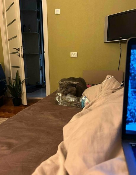 anyuta18 leaked onlyfans porn