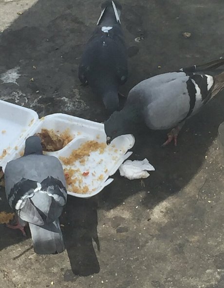 illtakeeverything leaks onlyfans