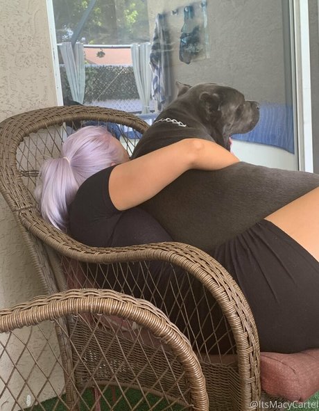 itsmacycartel onlyfans leaked xxx