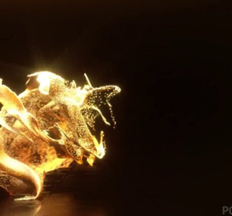 Cheyla Collins onlyfans model photos