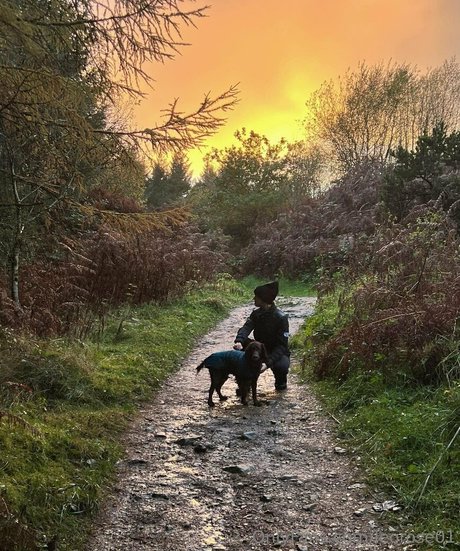 leorose01 onlyfans pics nude