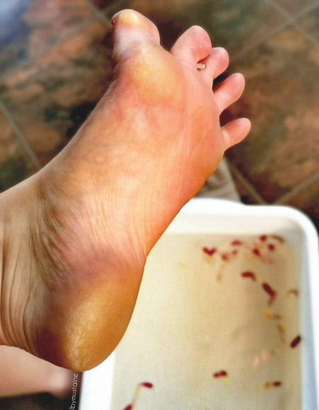 shelbymustaine onlyfans leaked dirtyship