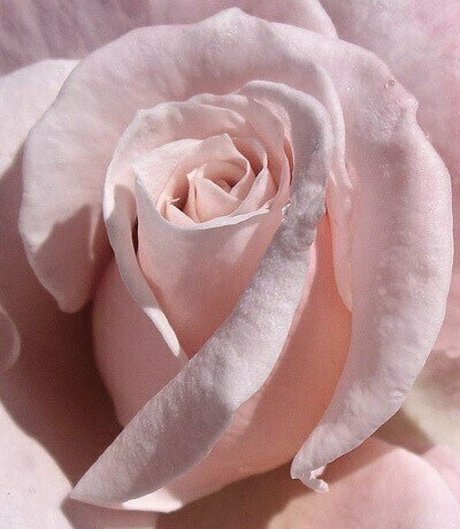 princessapril leaked onlyfans sex tape