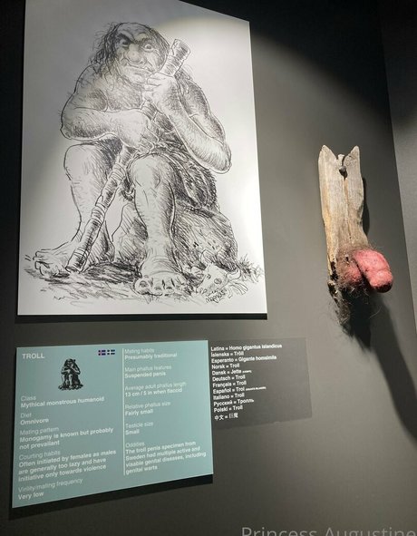 princessaugustine leaked onlyfans naked